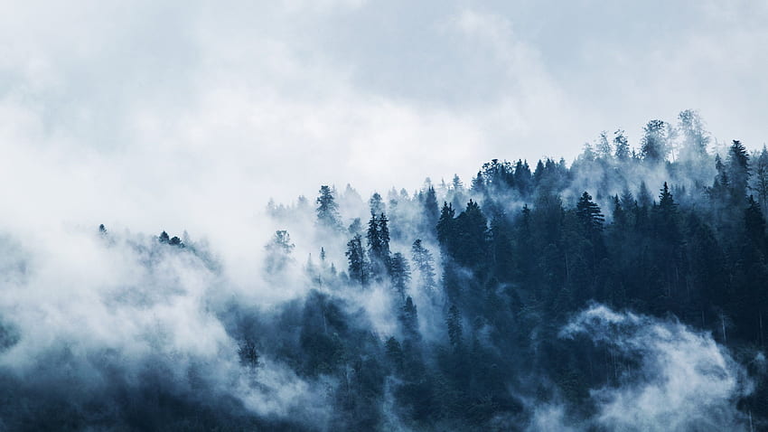 Mist HD wallpaper | Pxfuel