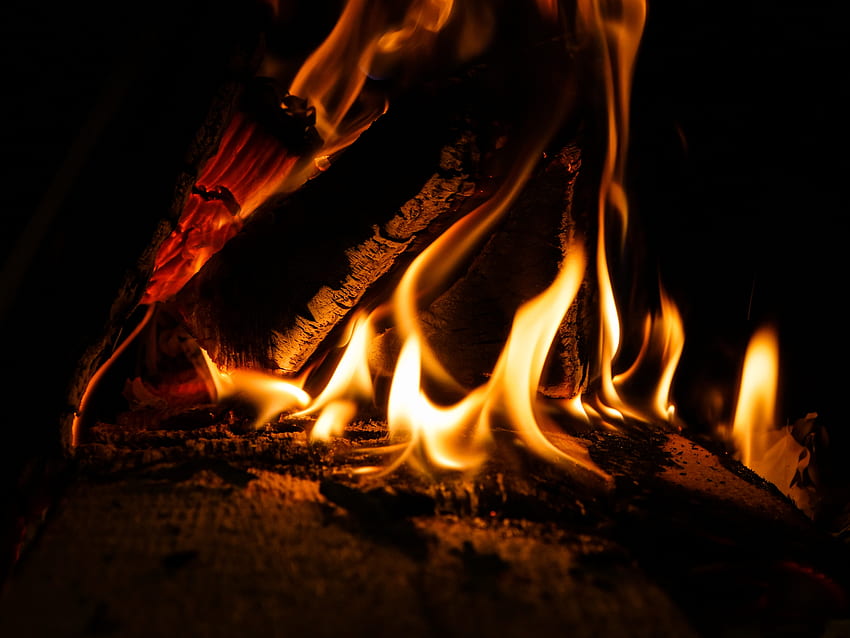 Fire, Bonfire, Coals, Dark, Flame, Ash HD wallpaper