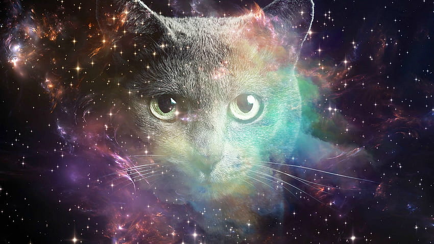 Space Cat [1920 x 1080], Cat Nebula HD wallpaper
