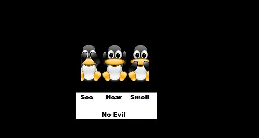 No Evil, white, black, penguins, evil, funny HD wallpaper