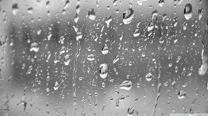 Rain drops live HD wallpapers | Pxfuel