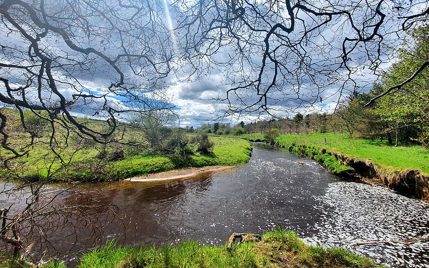 スコットランド、ウェストロージアンの牧歌的な小川、木々、風景、雲、空、水 高画質の壁紙