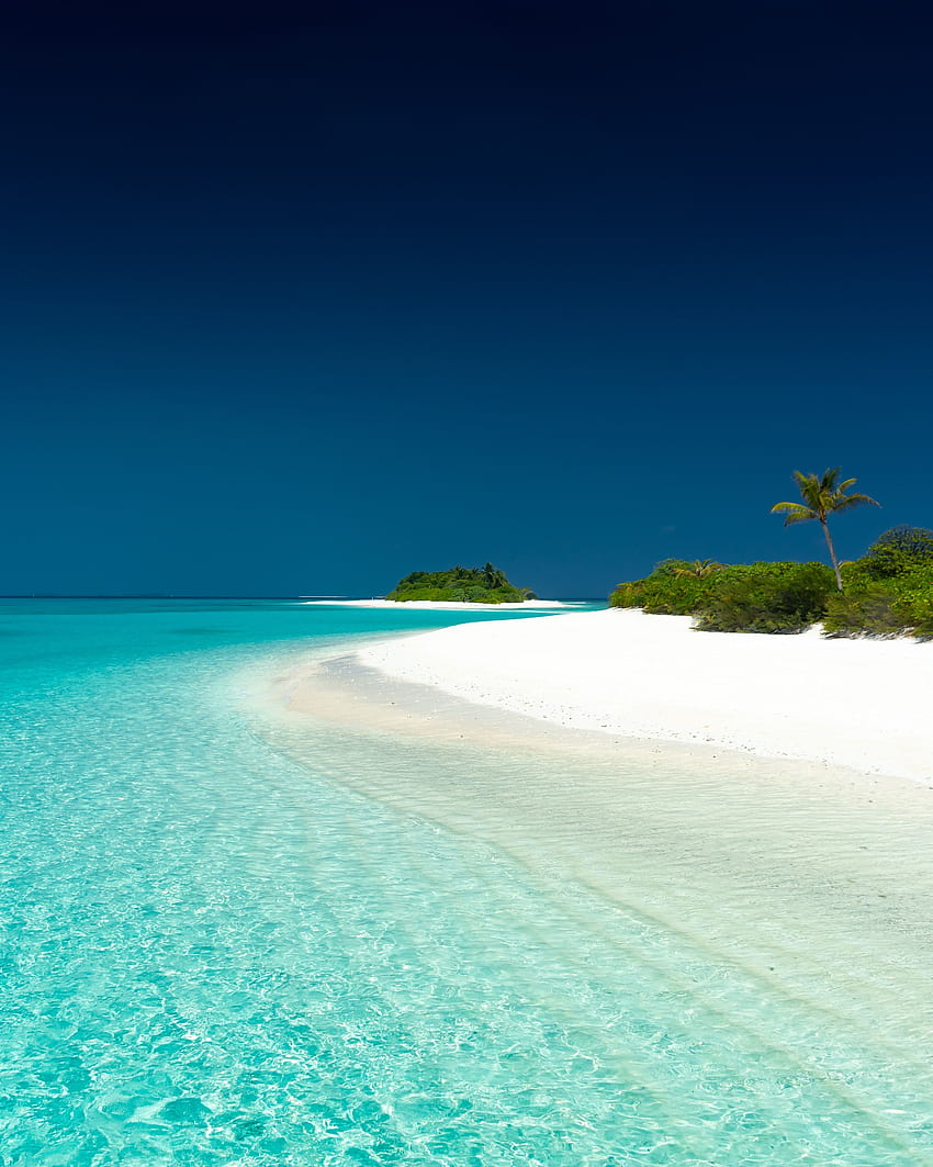 Natur, Himmel, Strand, Sand, Palmen, Meer, Insel HD-Handy-Hintergrundbild