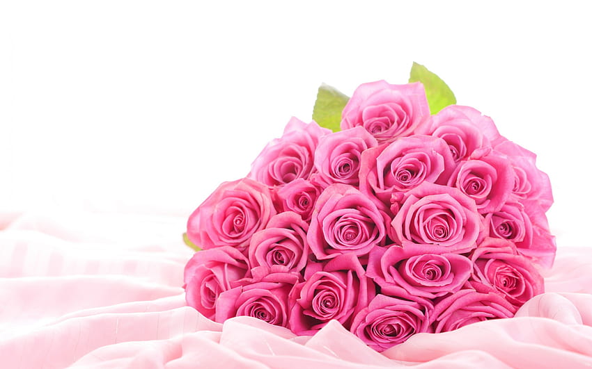 ~ Cantik dan Lembut ~, buket, lembut, mawar merah muda, warna, bagus, wangi, kelopak bunga, manis, mawar, lembut, cantik, menggemaskan, dihiasi, cantik, hargai, daun, cantik, sentimen, cinta, sejuk, alam, aroma , bermakna, bunga, sentuhan lembut, indah, kemegahan Wallpaper HD