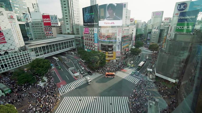 Shibuya Crossing in Tokyo: See the world's wildest intersection HD wallpaper