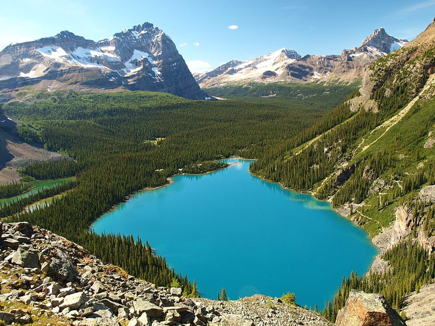 Lake O'Hara, trees, sky, lake, mountain HD wallpaper | Pxfuel