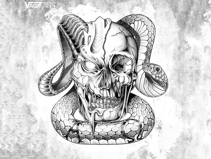 Атрактивна черна и сива 3D змия с татуировка на череп - дизайни на татуировка на череп и змия HD тапет