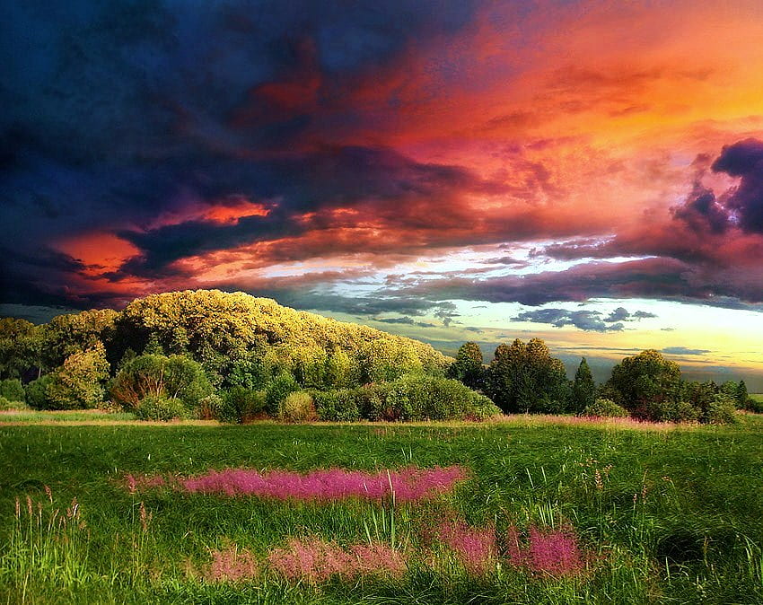 Passant, noir, fleurs sauvages, lumière du soleil, herbe, nuages ​​orange, champ, vallée, arbres, nuages ​​d'orage Fond d'écran HD