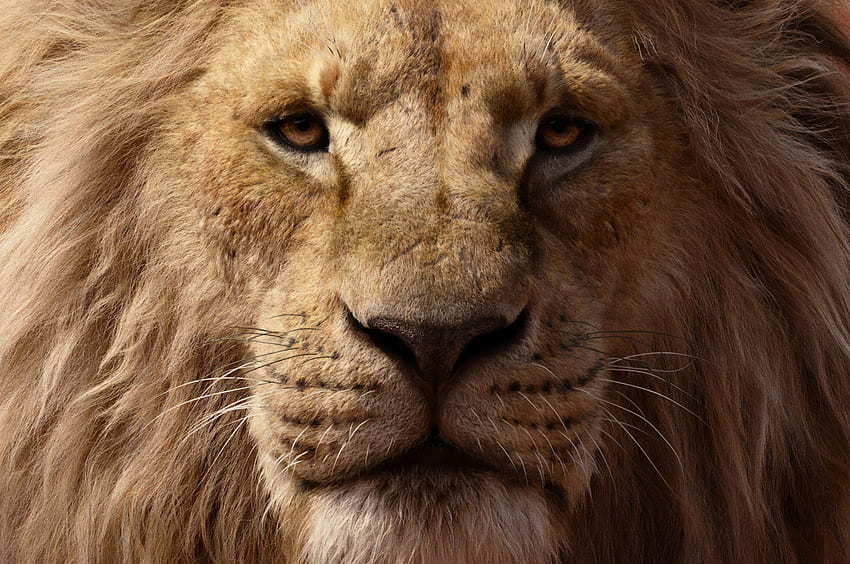 James Earl Jones als Mufasa der König der Löwen 2019 HD-Hintergrundbild