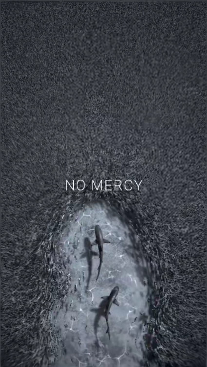 No Mercy, Inspiration_Sharks, No_Mercy Papel de parede de celular HD