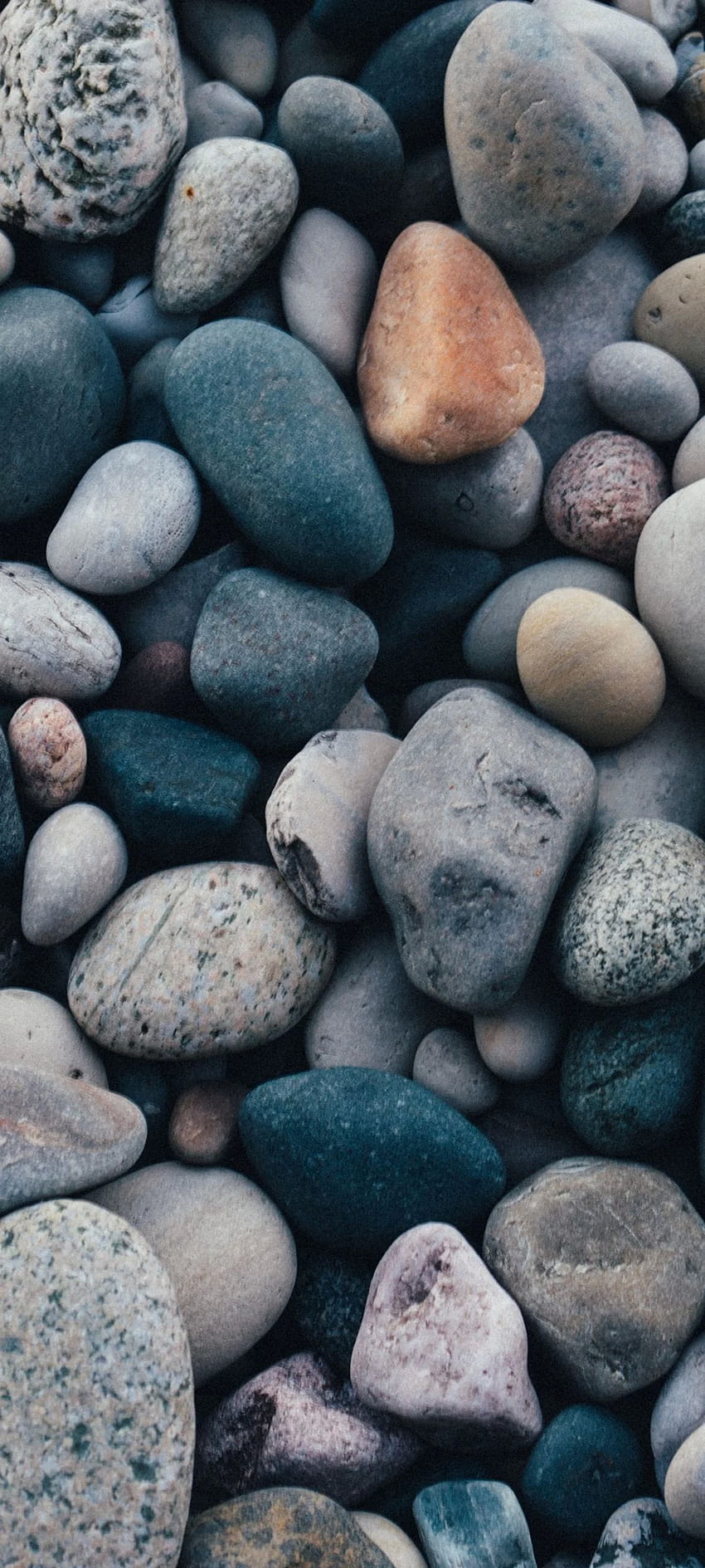 Stones Sea Pebble - [], 1080x2400 HD phone wallpaper