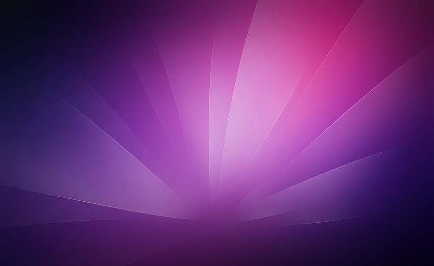 Latar Belakang Minimalis Ungu, digital pink dan ungu Wallpaper HD