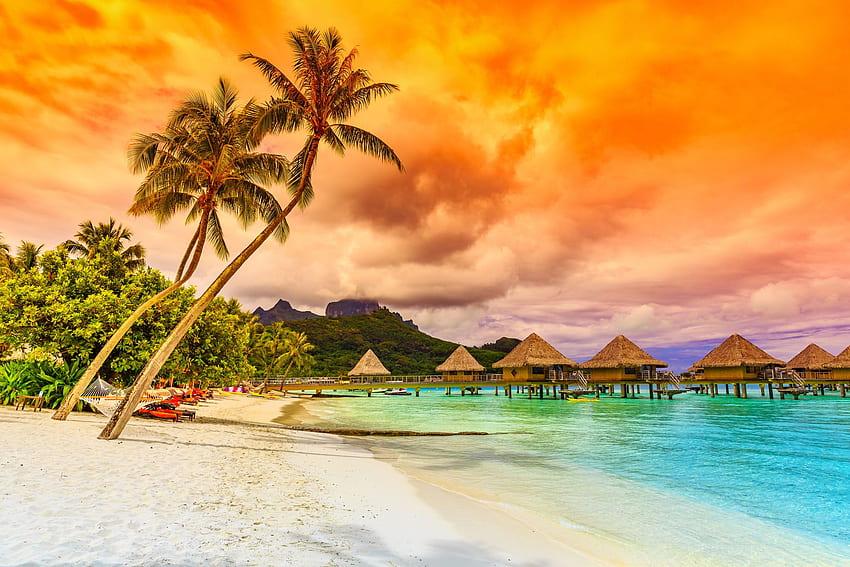 Tropical Islands New Tab Theme - World of Travel, Vacation HD wallpaper