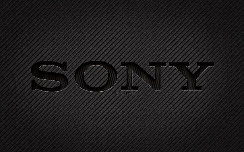 Sony carbon logo, , grunge art, carbon background, creative, Sony black logo, brands, Sony logo, Sony HD wallpaper