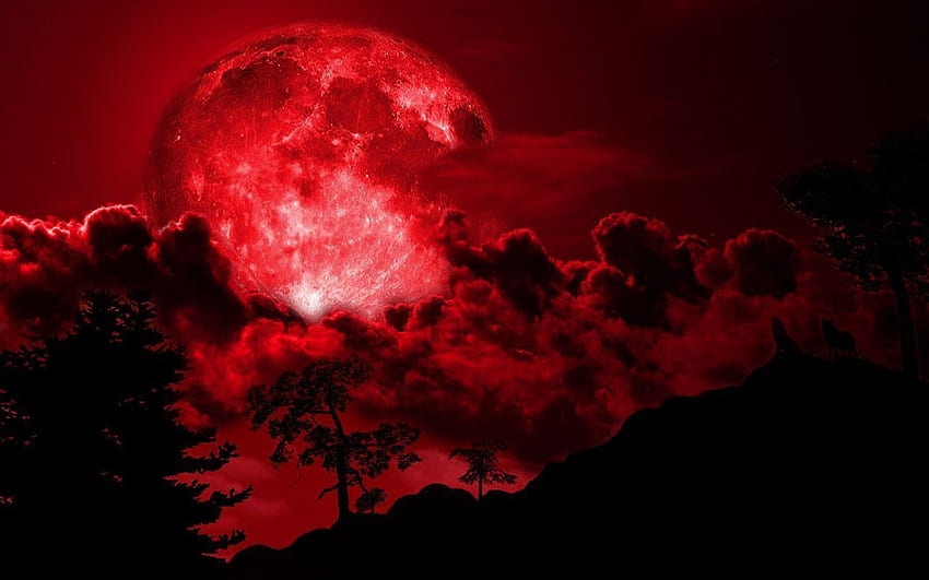 Red Moon Group (80), Mmon Red HD wallpaper