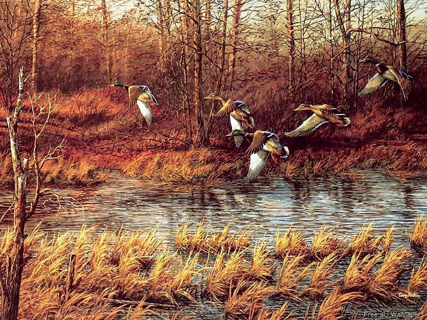 Enten, Malerei, Kunst, Tiere, Bäume, Natur, Wasser HD-Hintergrundbild
