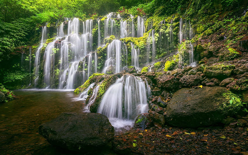 Водопад Banyu Wana Amertha, джунгла, Бали, тропически острови, красив водопад, Индонезия HD тапет