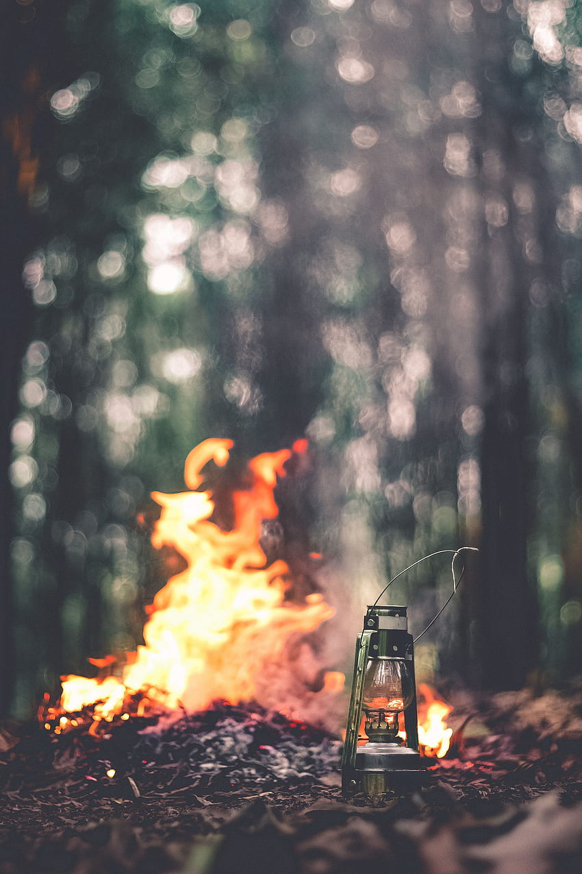 Nature, Bonfire, Blur, Smooth, Lamp, Camping, Campsite HD phone wallpaper