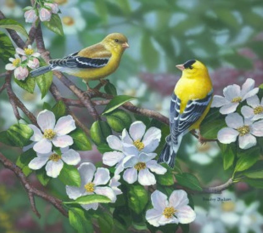 Painting, birds, spring, yellow HD wallpaper