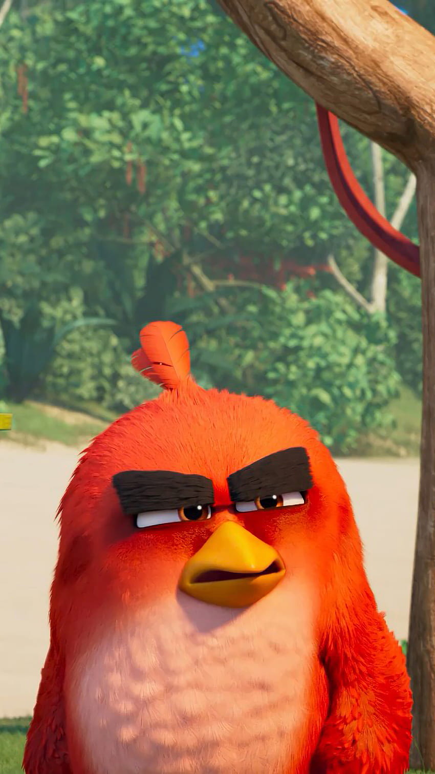 Film Angry Birds 2, Bom, Merah, Chuck, telepon, , Latar Belakang, dan , Angry Birds Red wallpaper ponsel HD