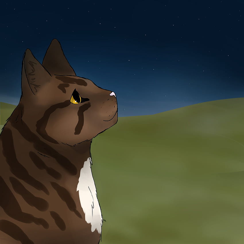 Leafpool . Leafpool HD phone wallpaper | Pxfuel