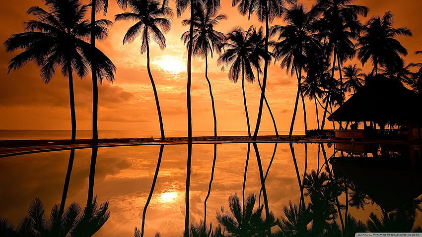 Hawaiian Beach Sunset Reflection Ultra Background for U TV : Tablet : Smartphone, Scarface Sunset HD wallpaper