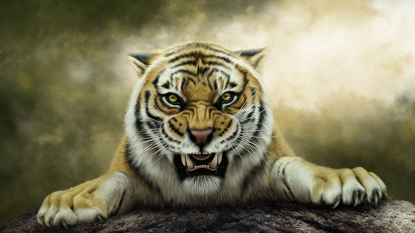 Forest king, tiger, face, big cat Q HD wallpaper
