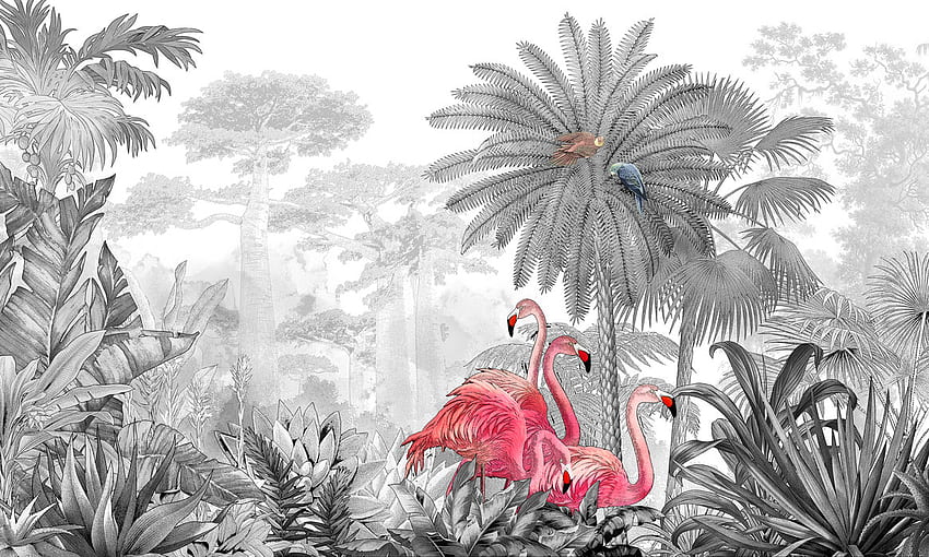 Tropical Flamingos – decorate with a wall mural – wall HD wallpaper