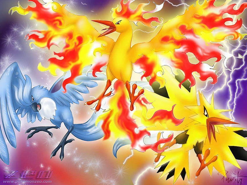 All Legendary Pokémon, Every Legendary Pokemon HD wallpaper