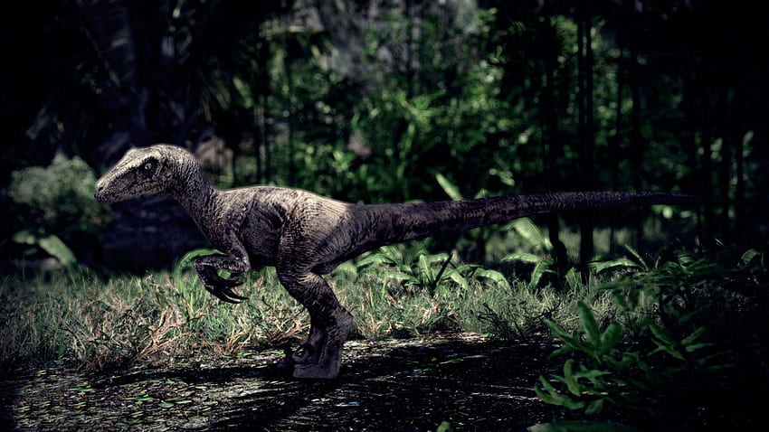 Uruchom Teaser Jurassic World., Dinozaur Tapeta HD