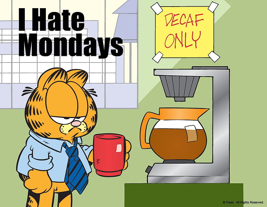 การ์ฟิลด์ ฉันเกลียดวันจันทร์ การ์ฟิลด์ ฉันเกลียดวันจันทร์ วอลล์เปเปอร์ HD