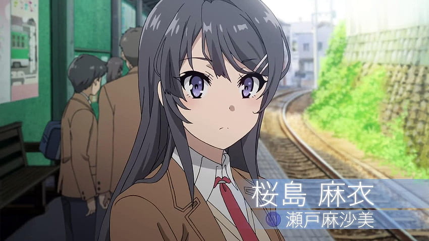 Anime Seishun Buta Yarou Wa Bunny Girl Senpai No Yume Wo Minai Papel De Parede Hd Pxfuel