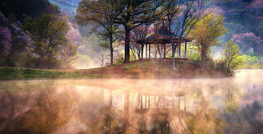 : sunlight, trees, landscape, lake, water, nature, South Korea Landscape HD wallpaper