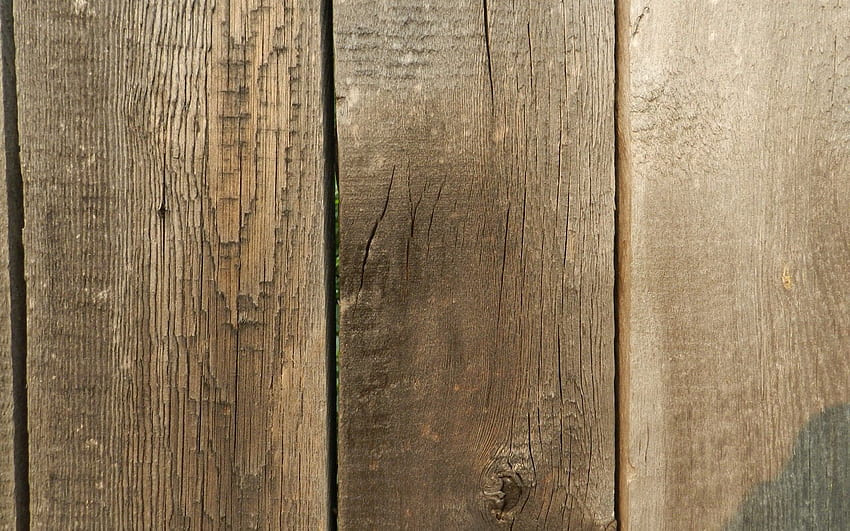 Wood, Tree, Texture, Textures, Fence, Planks, Board HD wallpaper