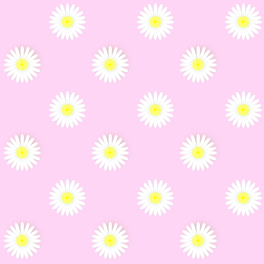 daisy wallpaper by nurlyzaa  Download on ZEDGE  770d