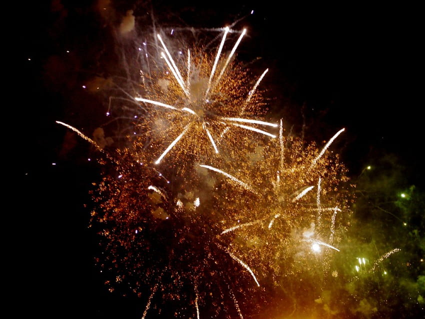 Fireworks, night, firework, celebration, light HD wallpaper
