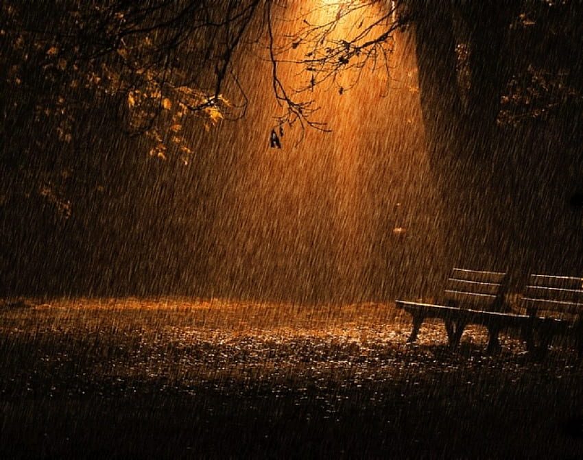 deszcz jesienią, inny, jesień, przyroda, deszcz Tapeta HD