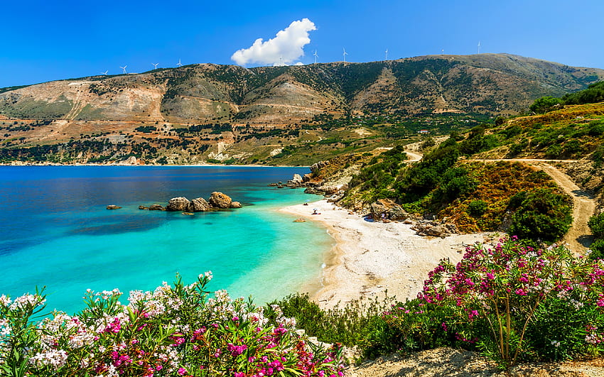 Vouti ビーチ、ケファロニア島、海、島、ギリシャ、楽園、リラックス、ビーチ、休暇、夏、野生の花、休息、砂、ケファロニア、ビュー 高画質の壁紙