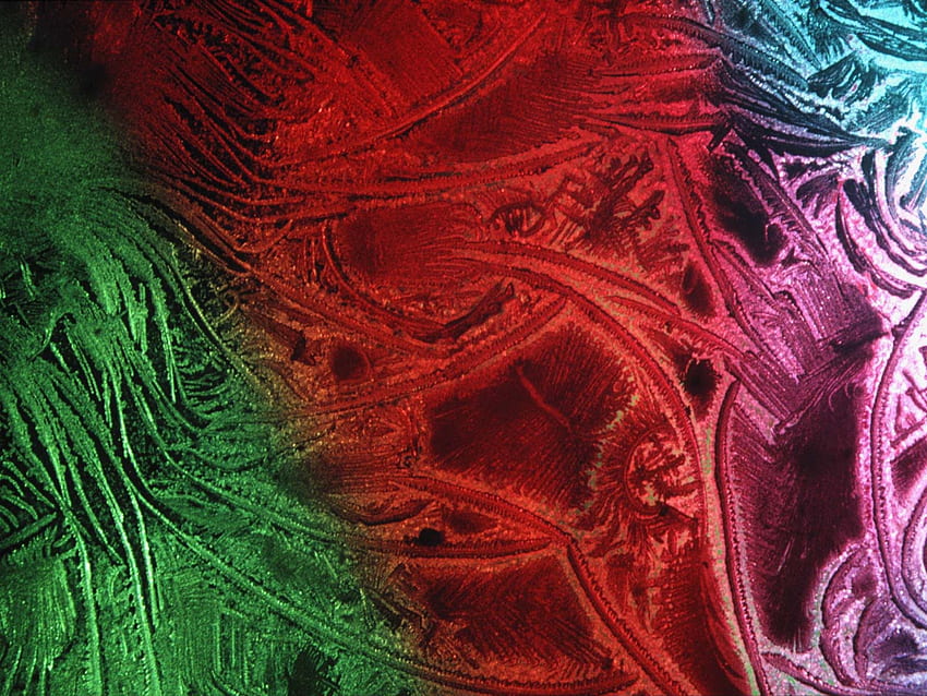Frozen Tendrills, rainbow colours, frozen, crystalized HD wallpaper