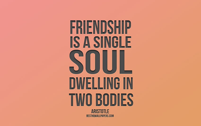 Friendship is a single soul dwelling, Aristotle HD wallpaper