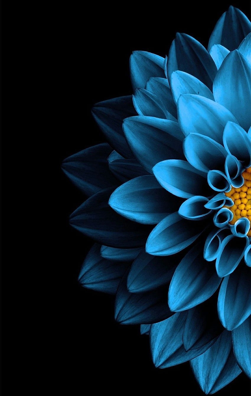 Dark Blue Flower Aesthetic, Cute Blue Flower HD phone wallpaper
