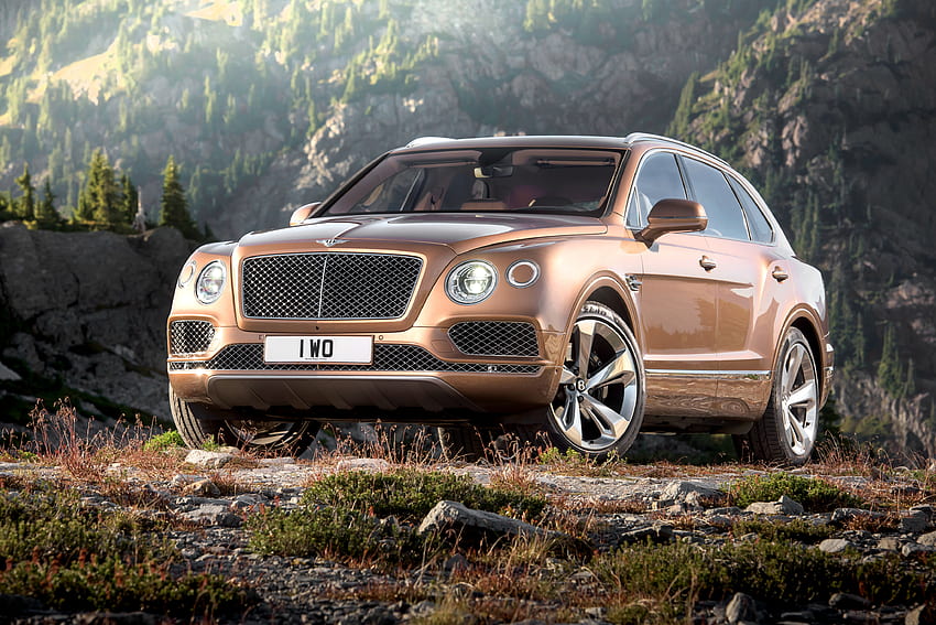 Bentley, Cars, Brown, Side View, Bentayga HD wallpaper