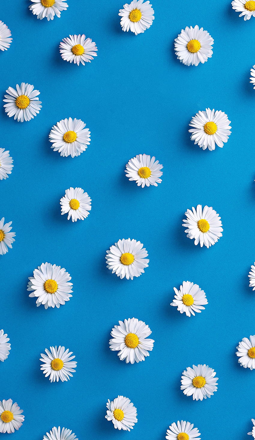 5 Stunning Spring iPhone Wallpapers to Elevate Your Device - Check Them