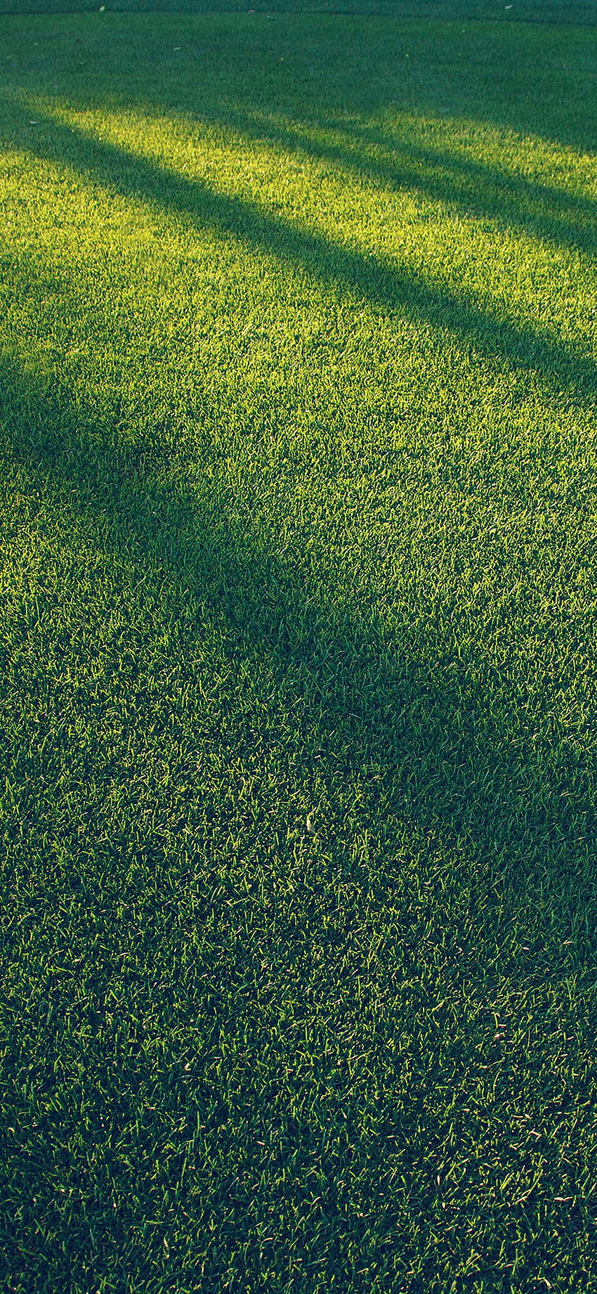 Vj86 Lawn Grass Sunlight Green Blue Pattern - iPhone Grass HD phone wallpaper