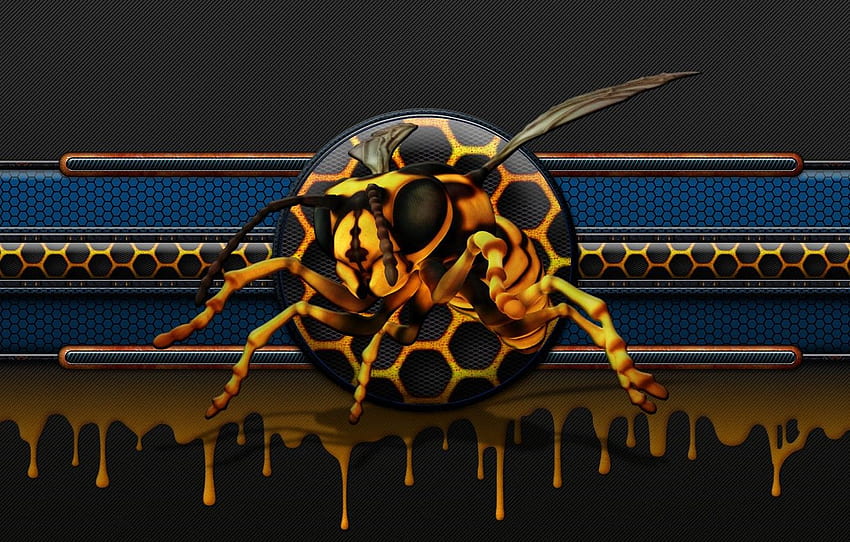 bee, cell, honey, honey, glow, bee, drip HD wallpaper