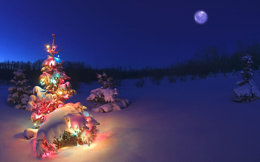 Luz del árbol de Navidad en la nieve con estilo [] para su, móvil y tableta. Explora la Navidad nevada. invierno y nieve fondo de pantalla