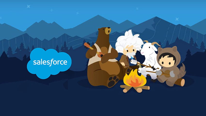 CI and delivery using Salesforce Developer Experience HD wallpaper
