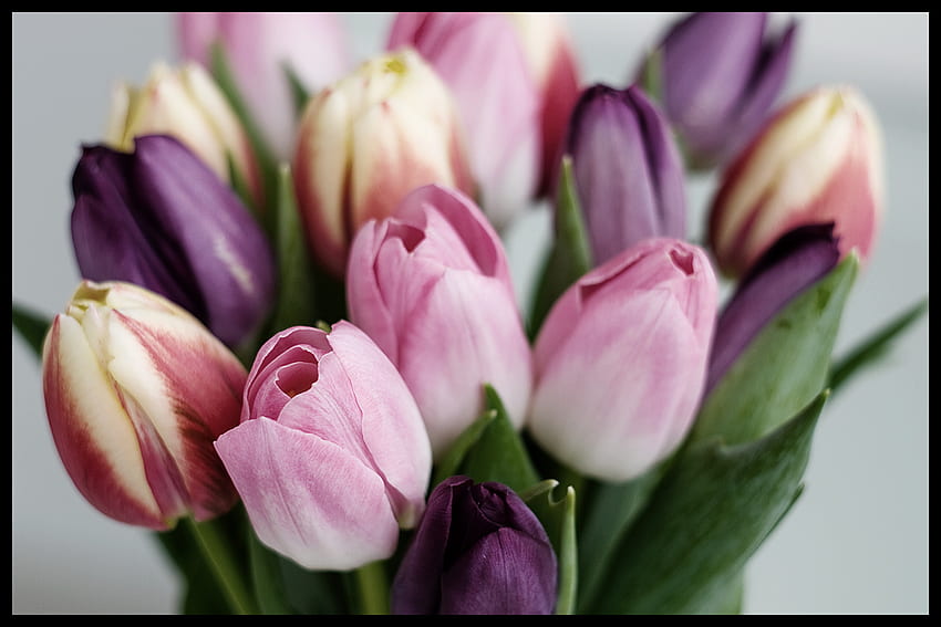 buket musim semi, warna penuh, buket, cantik, tulip, musim semi Wallpaper HD