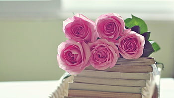 Hình nền hoa hồng được tạo nên từ những sắc màu tươi sáng, tượng trưng cho tình yêu, sự trân trọng và vẻ đẹp tinh tế của thiên nhiên. Hãy trang trí cho điện thoại của bạn bằng những bức hình nền hoa hồng đẹp mắt để tăng thêm sự lãng mạn và cuốn hút.