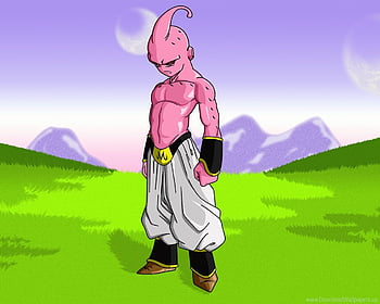 Download Buu  The Unpredictable Antagonist in Dragon Ball Series Wallpaper   Wallpaperscom